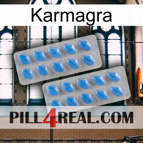 Karmagra 23
